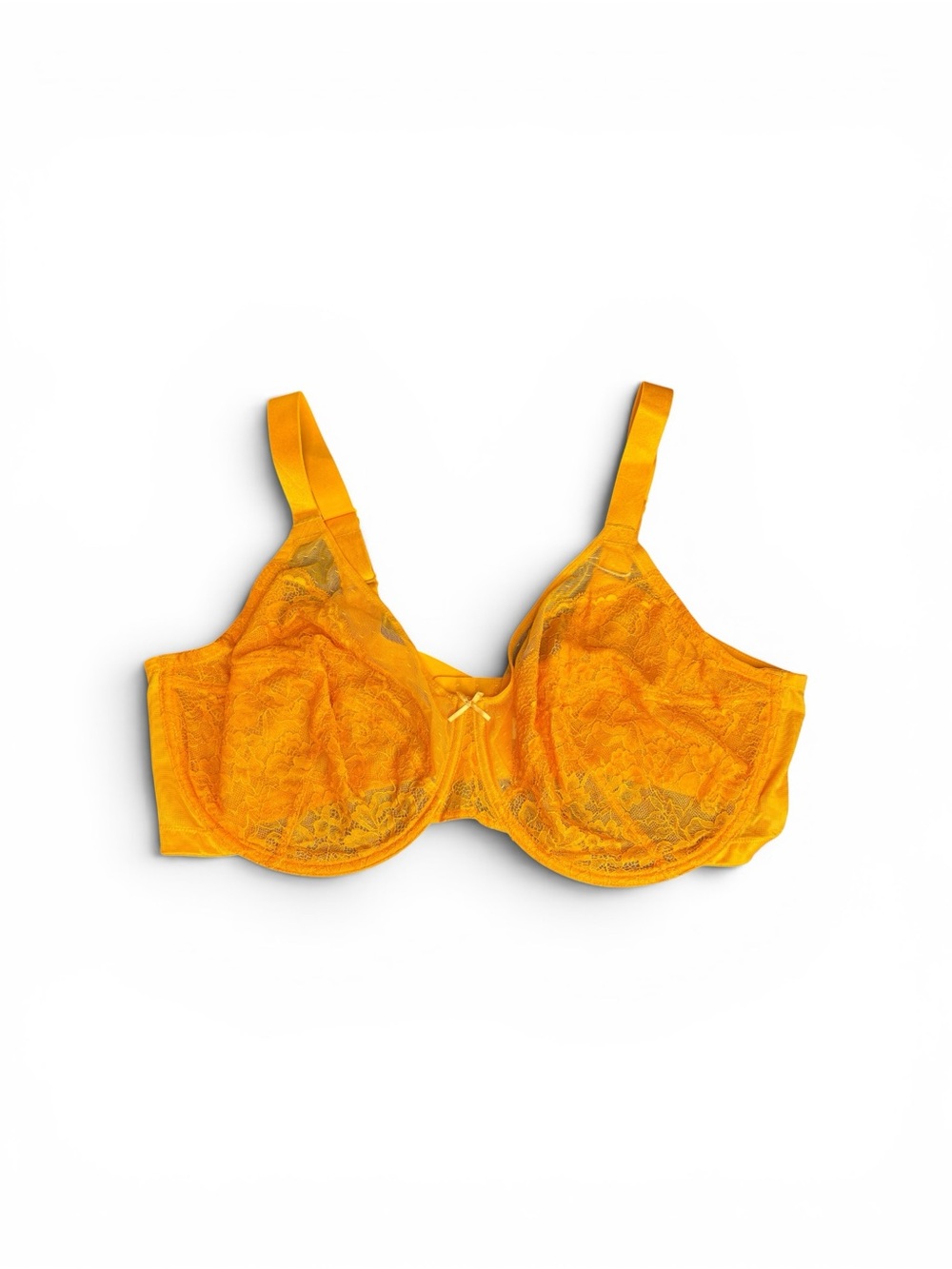 HSIA Minimizer Underwire Lace Bra : Size 46 DDD